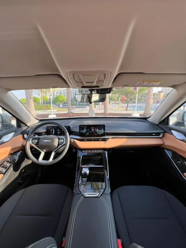 Grey Haval H6, 2024 Photo 1