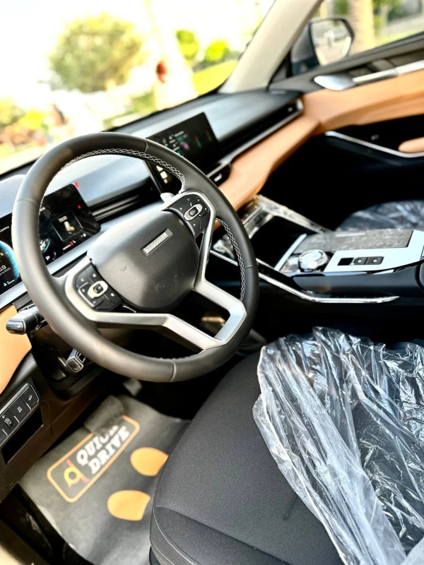 Grey Haval H6, 2024 Photo 5