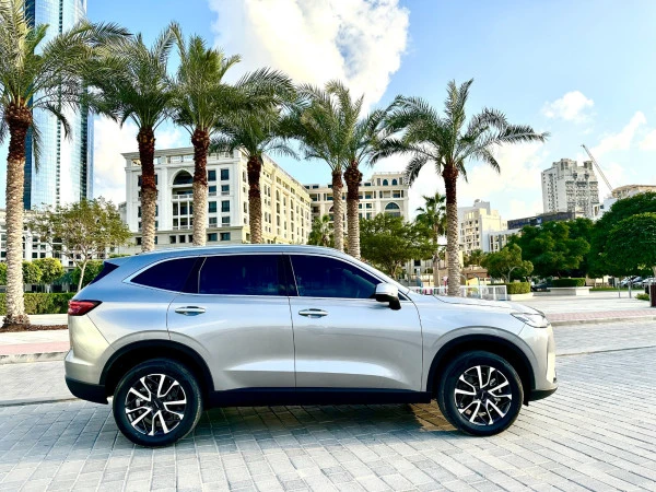 Grey Haval H6, 2024 Photo 9