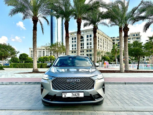 Grey Haval H6, 2024 Photo 12