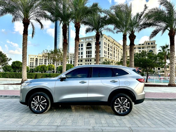 Grey Haval H6, 2024 Photo 13