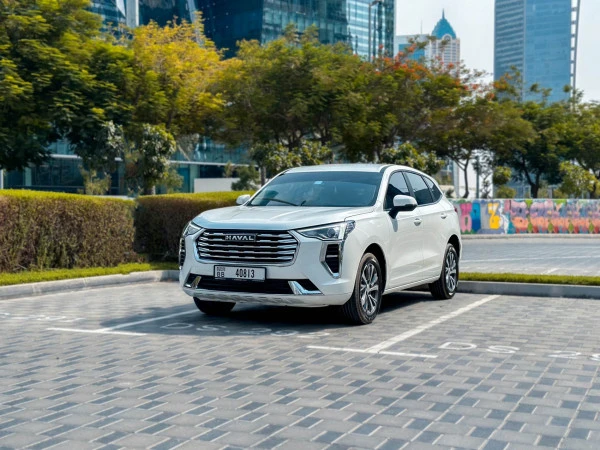 White Haval Jolion, 2024 Photo 2