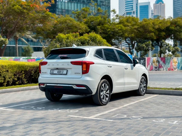 White Haval Jolion, 2024 Photo 5
