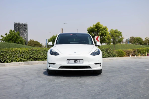 White Tesla Model Y Long Range, 2022 Photo 1